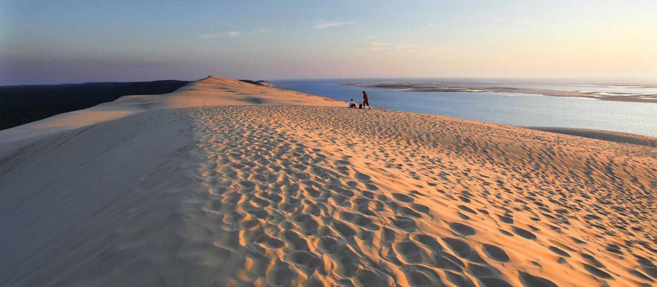 "Gite D'Ici Et D'Ailleurs" 1 Dependance Dans Propriete,Et 1 Maison Independante Au Coeur Du Vignoble Bordelais Et Du Bassin D Arcachon Saint-Morillon Exteriör bild