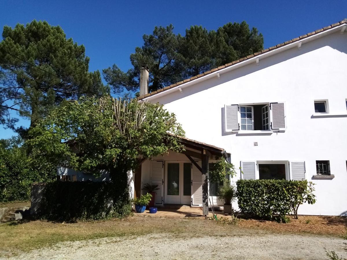 "Gite D'Ici Et D'Ailleurs" 1 Dependance Dans Propriete,Et 1 Maison Independante Au Coeur Du Vignoble Bordelais Et Du Bassin D Arcachon Saint-Morillon Exteriör bild