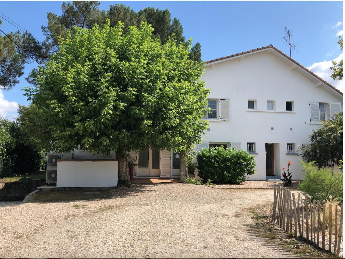 "Gite D'Ici Et D'Ailleurs" 1 Dependance Dans Propriete,Et 1 Maison Independante Au Coeur Du Vignoble Bordelais Et Du Bassin D Arcachon Saint-Morillon Exteriör bild